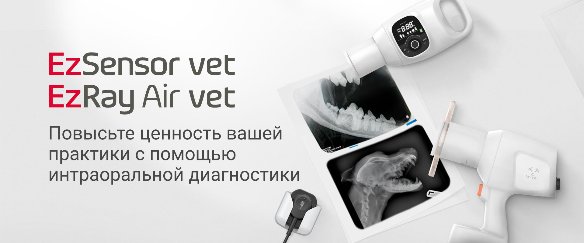 bg_sub_intraoral_1